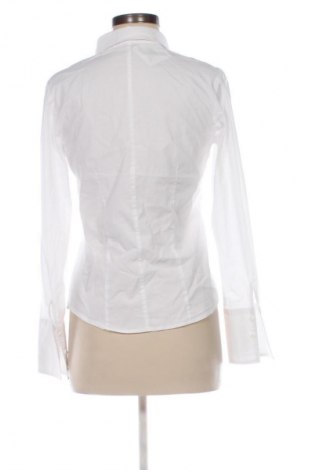 Damenbluse Betty Barclay, Größe M, Farbe Weiß, Preis € 13,99