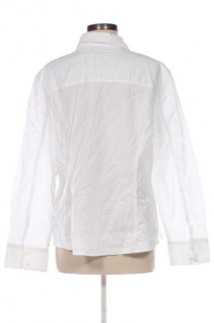 Damenbluse Cecil, Größe XXL, Farbe Weiß, Preis € 15,99