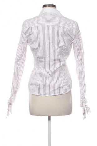 Damska koszula Gant, Rozmiar M, Kolor Kolorowy, Cena 225,06 zł