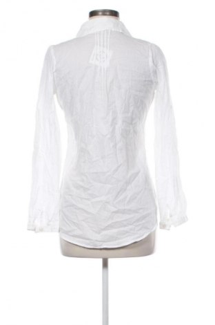 Damska koszula Gina Benotti, Rozmiar S, Kolor Biały, Cena 23,99 zł