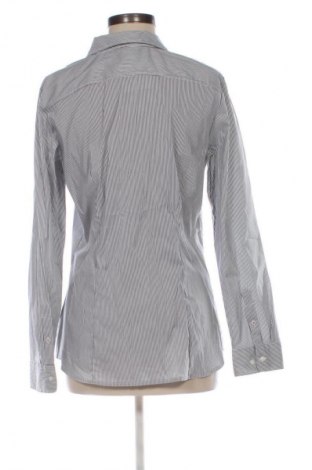 Damenbluse H&M, Größe XL, Farbe Mehrfarbig, Preis € 8,99