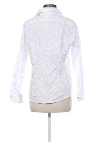 Damenbluse Olymp, Größe L, Farbe Weiß, Preis 13,99 €