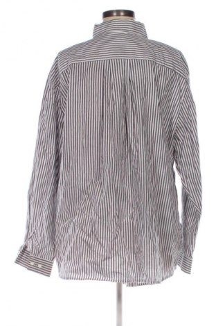 Damska koszula Peter Hahn, Rozmiar XL, Kolor Kolorowy, Cena 151,00 zł