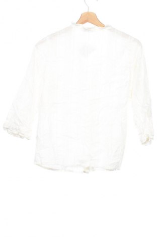 Damska koszula Pigalle, Rozmiar XS, Kolor Kolorowy, Cena 83,99 zł