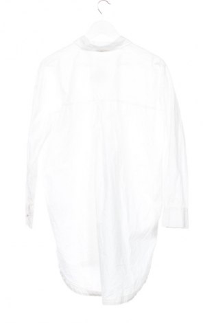 Damenbluse Tally Weijl, Größe L, Farbe Ecru, Preis € 13,00