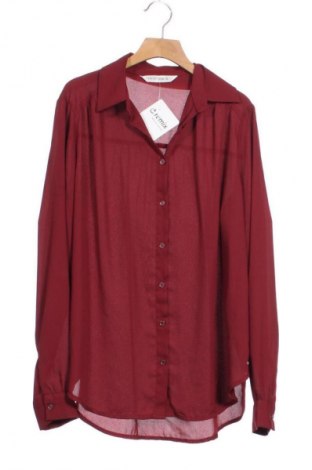 Damenbluse Terranova, Größe XS, Farbe Rot, Preis 10,99 €