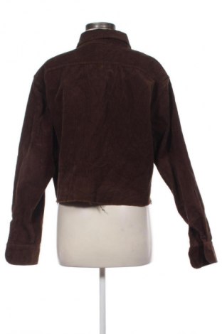 Γυναικείο πουκάμισο Uniqlo, Μέγεθος XL, Χρώμα Καφέ, Τιμή 11,99 €
