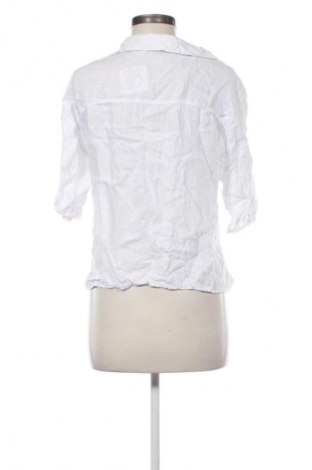 Damenbluse Zara, Größe M, Farbe Weiß, Preis € 13,99