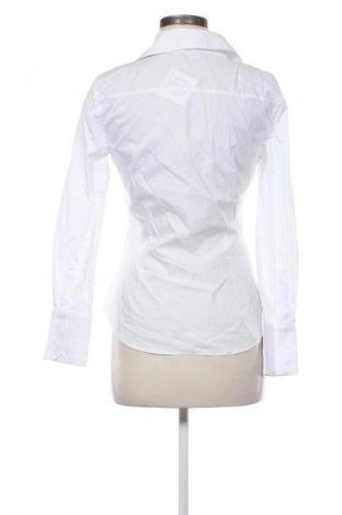 Damenbluse Zara, Größe M, Farbe Weiß, Preis 14,99 €