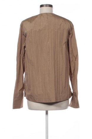 Damska koszula Zara, Rozmiar XS, Kolor Brązowy, Cena 169,60 zł