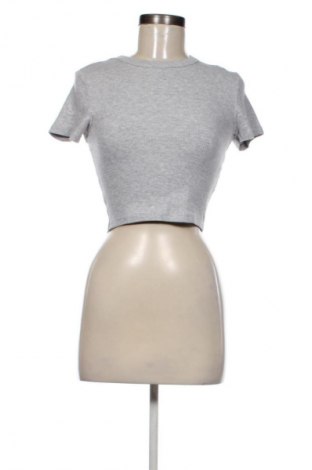 Damen T-Shirt FSBN Sister, Größe S, Farbe Grau, Preis € 6,99