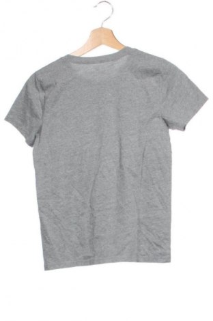 Damen T-Shirt Hollister, Größe XS, Farbe Grau, Preis € 9,00