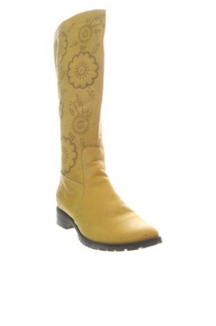 Cizme de damă Shoe, Mărime 38, Culoare Multicolor, Preț 439,76 Lei