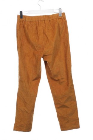 Damskie sztruksy Goldwin, Rozmiar XS, Kolor Brązowy, Cena 77,99 zł