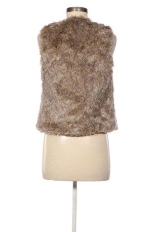 Damenweste Etam, Größe S, Farbe Beige, Preis € 17,99