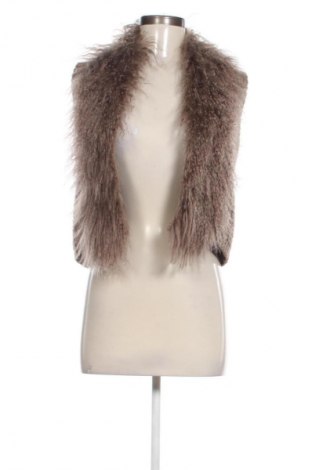 Дамски елек Unbranded, Размер M, Цвят Кафяв, Цена 24,55 €