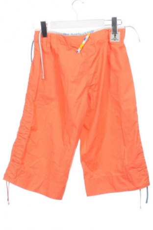 Дамски къс панталон Murphy & Nye, Размер S, Цвят Многоцветен, Цена 38,00 €