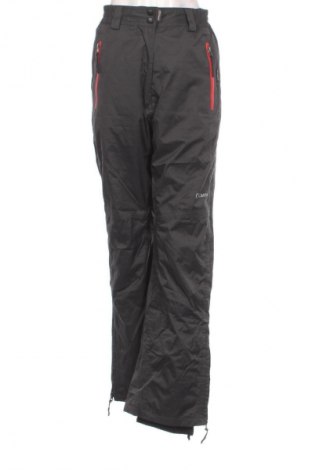 Дамски панталон за зимни спортове CARRA, Размер XL, Цвят Сив, Цена 49,61 €