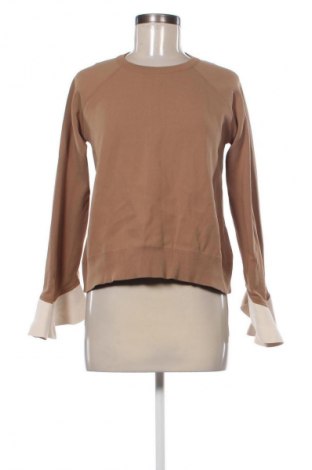 Damenpullover Elisabetta Franchi, Größe L, Farbe Braun, Preis 97,64 €