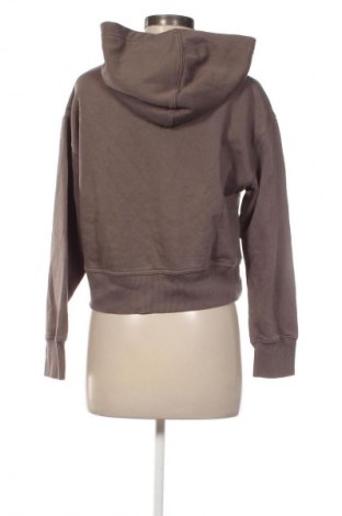 Damen Sweatshirt Zara, Größe S, Farbe Braun, Preis 11,99 €