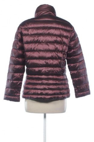 Damenjacke Beaumont, Größe L, Farbe Lila, Preis € 47,99