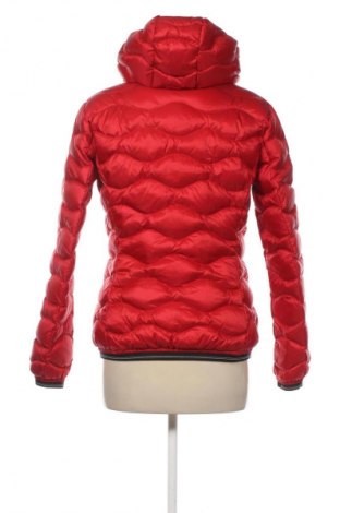 Γυναικείο μπουφάν Blauer, Μέγεθος M, Χρώμα Κόκκινο, Τιμή 46,99 €