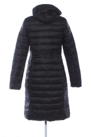 Damenjacke Cf, Größe S, Farbe Schwarz, Preis € 62,99