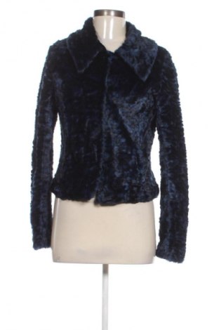 Damenjacke Eksert, Größe M, Farbe Blau, Preis 34,99 €