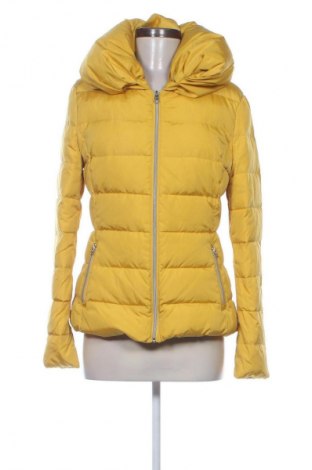 Damenjacke Penny Black, Größe L, Farbe Gelb, Preis € 23,99