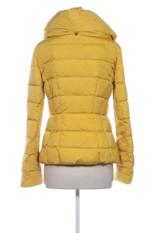 Damenjacke Penny Black, Größe L, Farbe Gelb, Preis € 23,99