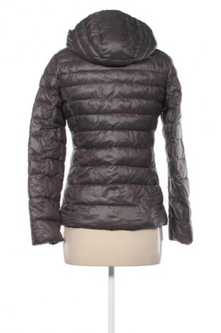Damenjacke Stefanel, Größe S, Farbe Grau, Preis 189,43 €