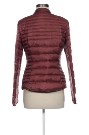 Damenjacke Unbranded, Größe M, Farbe Rot, Preis € 11,99