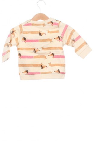 Bluză pentru copii Ergee, Mărime 3-6m/ 62-68 cm, Culoare Multicolor, Preț 47,97 Lei