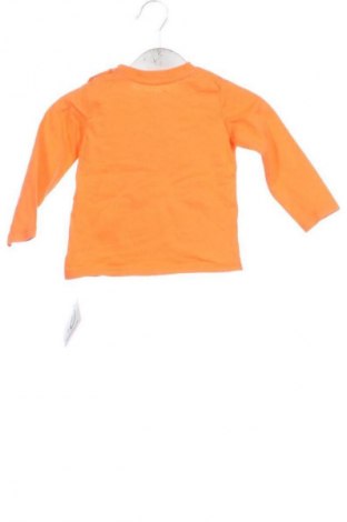 Bluză pentru copii Lupilu, Mărime 9-12m/ 74-80 cm, Culoare Multicolor, Preț 28,99 Lei