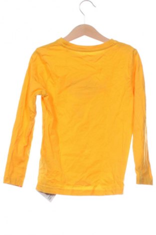 Kinder Shirt Lupilu, Größe 4-5y/ 110-116 cm, Farbe Orange, Preis 6,00 €