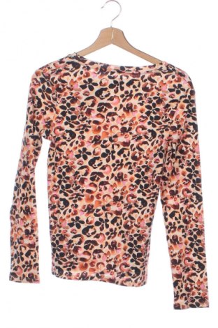 Dětská halenka  Next, Velikost 15-18y/ 170-176 cm, Barva Vícebarevné, Cena  629,00 Kč