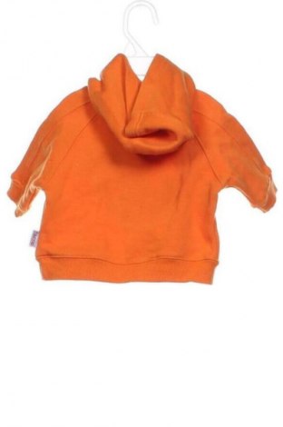 Detská blúzka  Schnizler, Veľkosť 3-6m/ 62-68 cm, Farba Oranžová, Cena  6,00 €