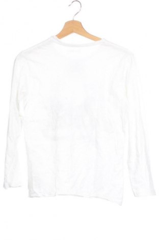 Bluză pentru copii Sfera, Mărime 10-11y/ 146-152 cm, Culoare Alb, Preț 31,28 Lei