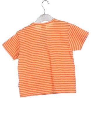 Bluză pentru copii Unbranded, Mărime 12-18m/ 80-86 cm, Culoare Multicolor, Preț 30,00 Lei