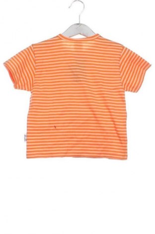 Bluză pentru copii Unbranded, Mărime 12-18m/ 80-86 cm, Culoare Multicolor, Preț 48,00 Lei