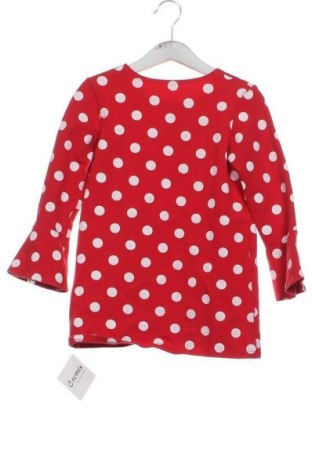 Detská blúzka  Unbranded, Veľkosť 4-5y/ 110-116 cm, Farba Viacfarebná, Cena  5,61 €