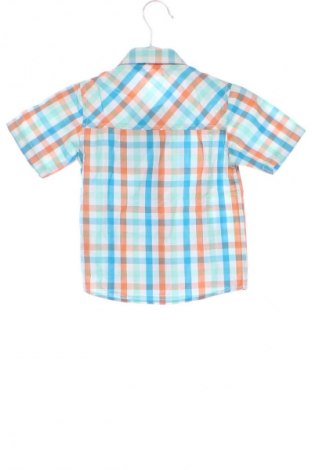 Παιδικό πουκάμισο Pepco, Μέγεθος 9-12m/ 74-80 εκ., Χρώμα Πολύχρωμο, Τιμή 4,80 €