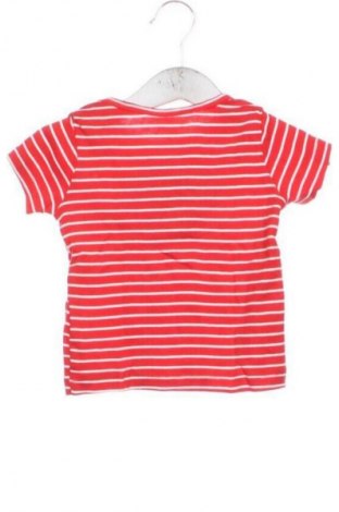 Tricou pentru copii Carter's, Mărime 6-9m/ 68-74 cm, Culoare Multicolor, Preț 26,07 Lei