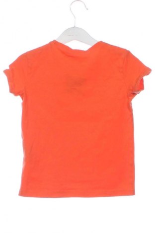 Dziecięcy T-shirt Coccodrillo, Rozmiar 2-3y/ 98-104 cm, Kolor Pomarańczowy, Cena 23,99 zł