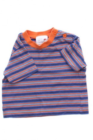 Tricou pentru copii Ladybird, Mărime 3-6m/ 62-68 cm, Culoare Multicolor, Preț 39,89 Lei