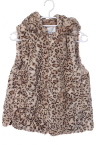 Kinderweste Zara, Größe 10-11y/ 146-152 cm, Farbe Mehrfarbig, Preis 7,99 €