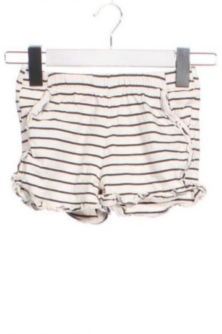 Παιδικό κοντό παντελόνι Next, Μέγεθος 2-3y/ 98-104 εκ., Χρώμα Πολύχρωμο, Τιμή 19,99 €