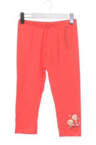 Gyerek leggings Looney Tunes, Méret 12-13y / 158-164 cm, Szín Narancssárga
, Ár 4 835 Ft