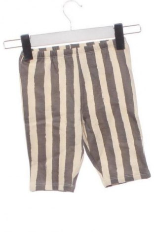 Gyerek nadrág New Look, Méret 6-9m / 68-74 cm, Szín Sokszínű, Ár 8 430 Ft