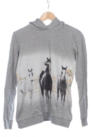 Dziecięca bluza Page One, Rozmiar 15-18y/ 170-176 cm, Kolor Szary, Cena 60,31 zł